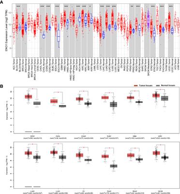 Knockout of ENO1 leads to metabolism reprogramming and tumor retardation in pancreatic cancer